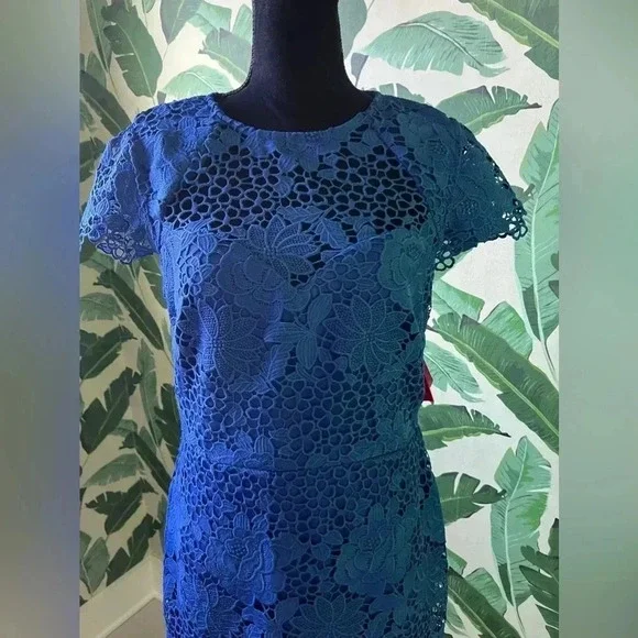 knee length dresses for ladies PAPER DOLLS london Blue Lace Dress